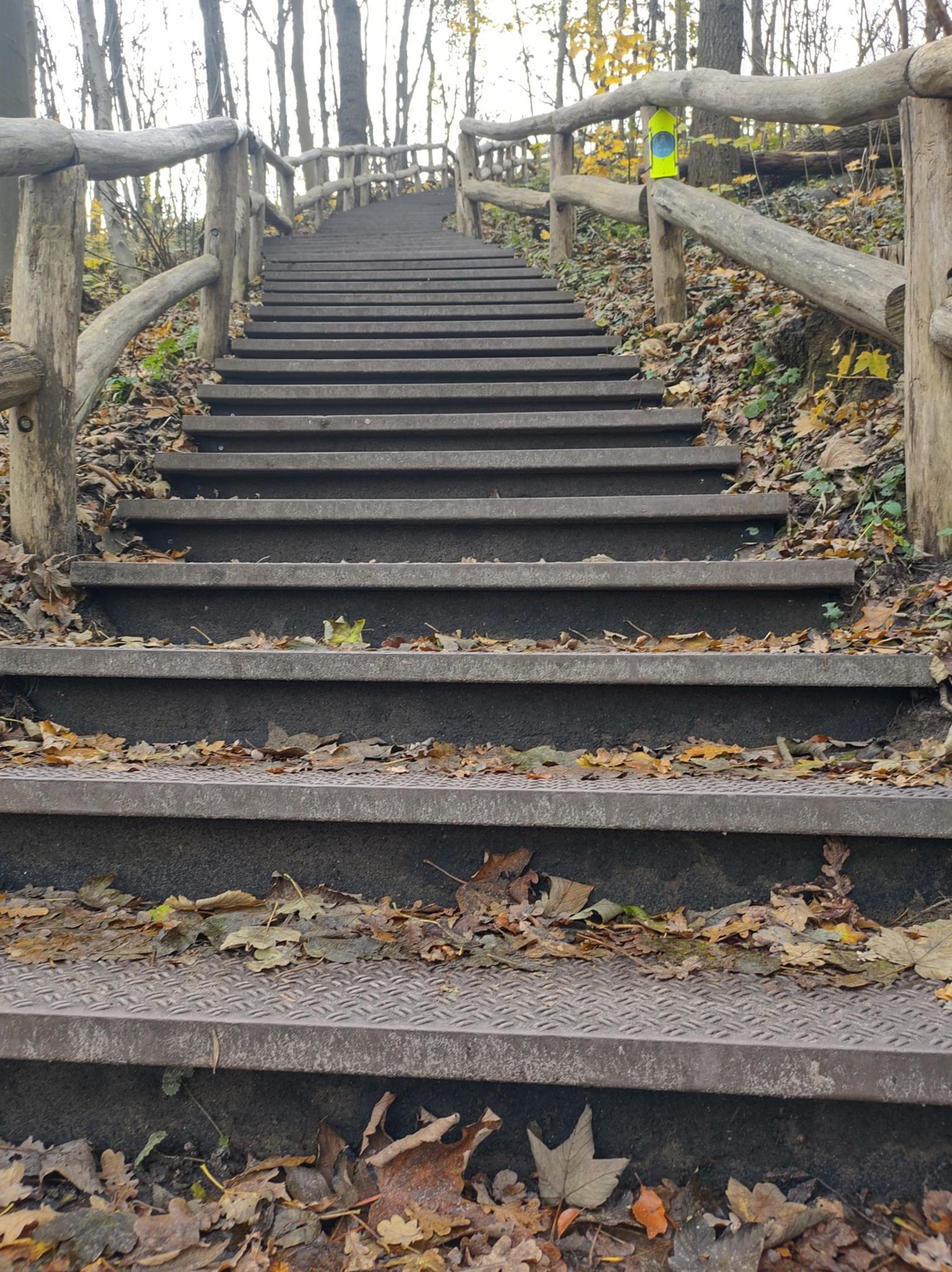 Graef Castricum Trail - 2023